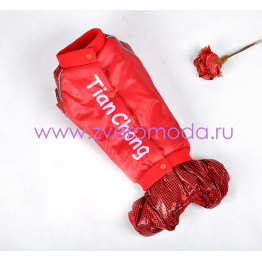 Такса девочка Красный крадрат